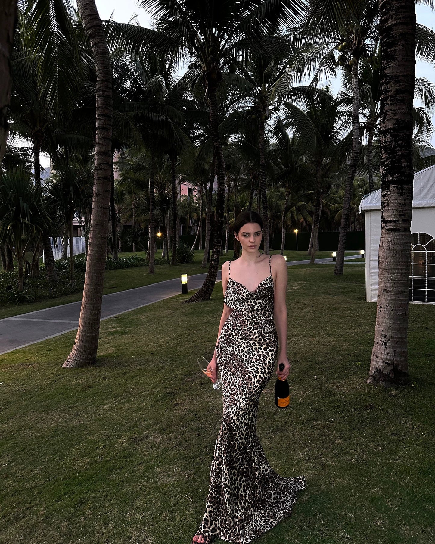 0122stepll | Wild Reverie Leopard Maxi Dress